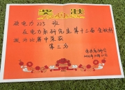 南宫娱乐-冠亚军激烈争霸，欧预赛名额争夺正酣