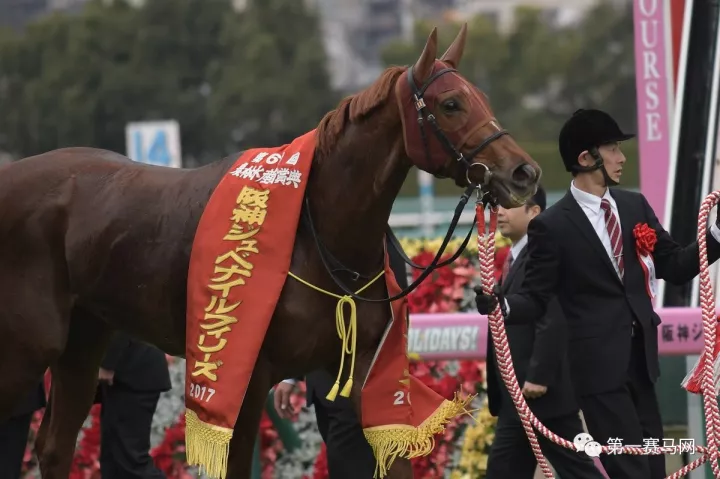 墨西哥代表团锋芒毕露，摘得桂冠