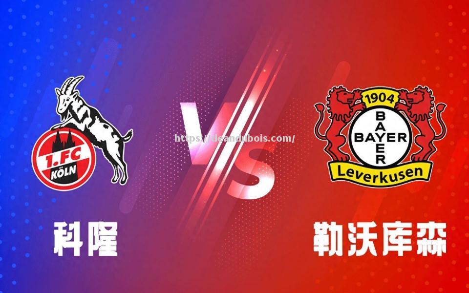 勒沃库森连克对手，全面占领榜首